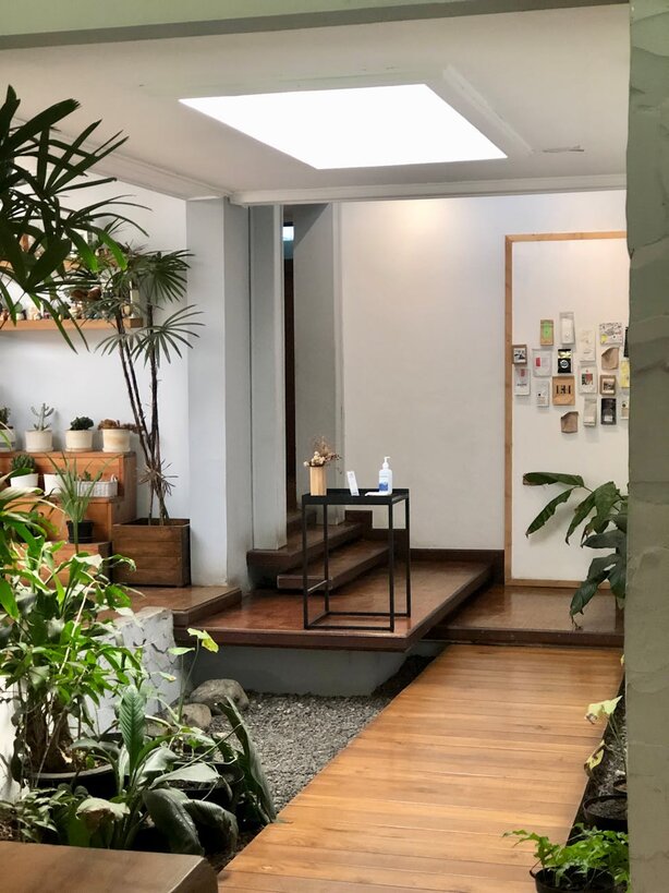 Serene indoor garden space with wooden walkway and plants