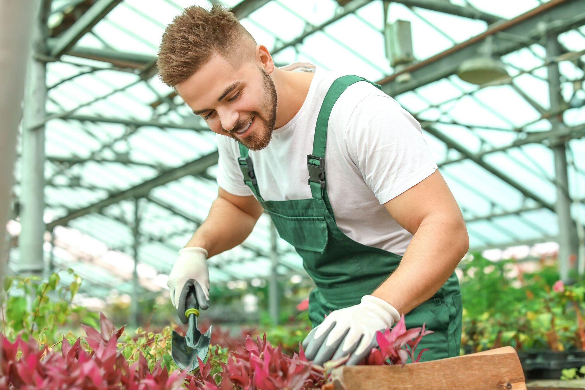 How to Report Income and Understand MIF for Universal Credit Claims