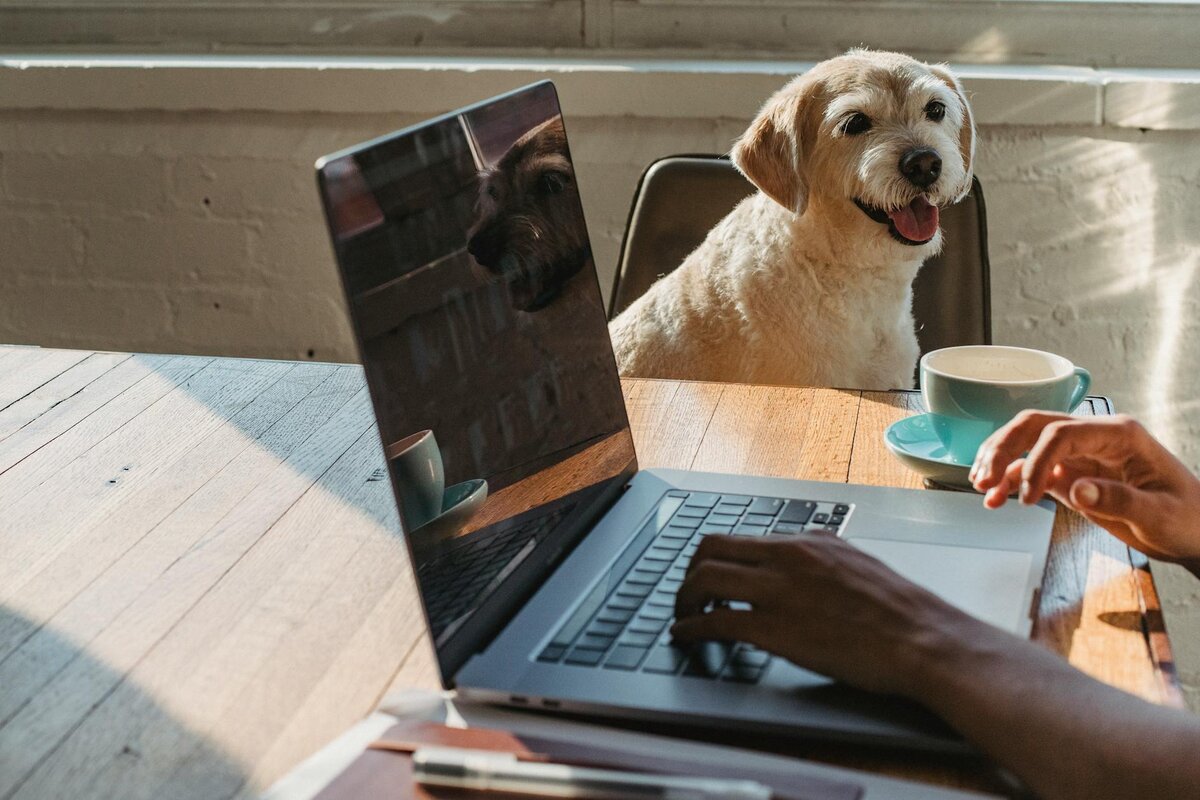 man on laptop