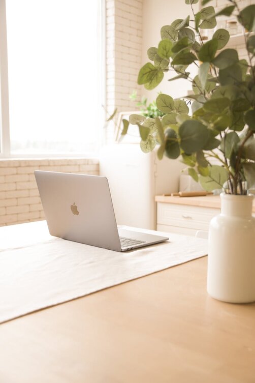 MacBook on wooden table beside potted green plant
