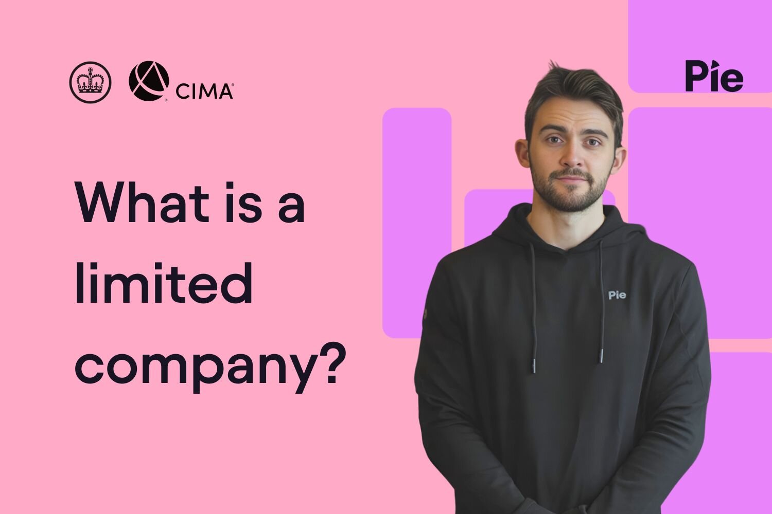 Discover what makes a limited company, its benefits for entrepreneurs & investors.