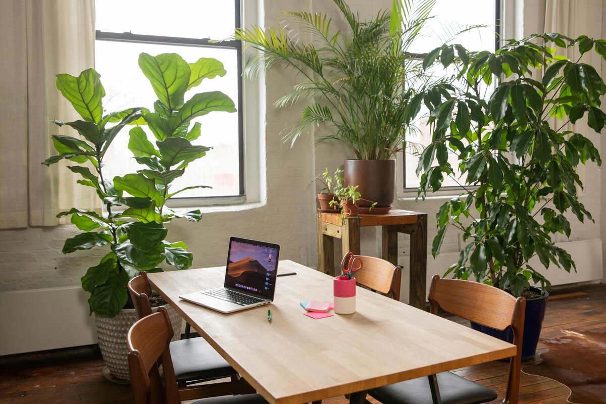 laptop with green around it 