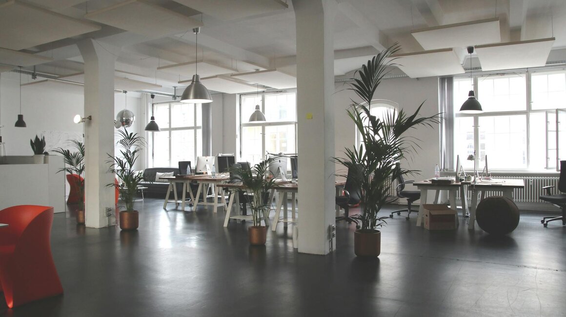 An empty, sunlit open-plan office with desks, computers, large potted palms, and a striking red sculptural chair near the entrance.