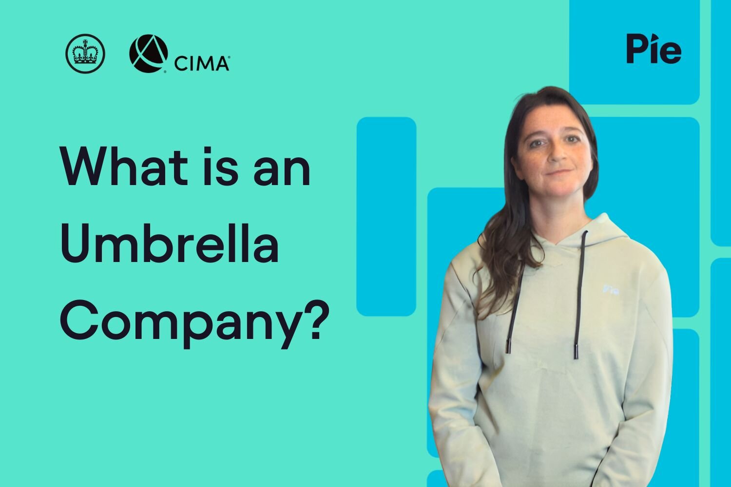Understanding Umbrella Companies: A Comprehensive Guide for Freelancers ...