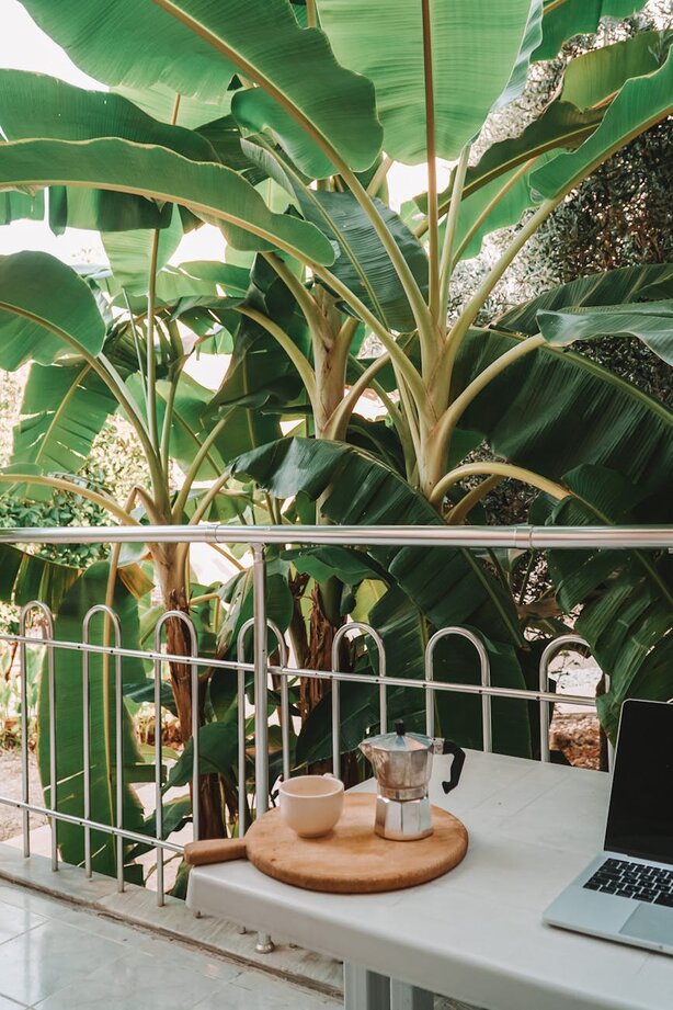 Laptop and coffee setup on balcony with tropical plants