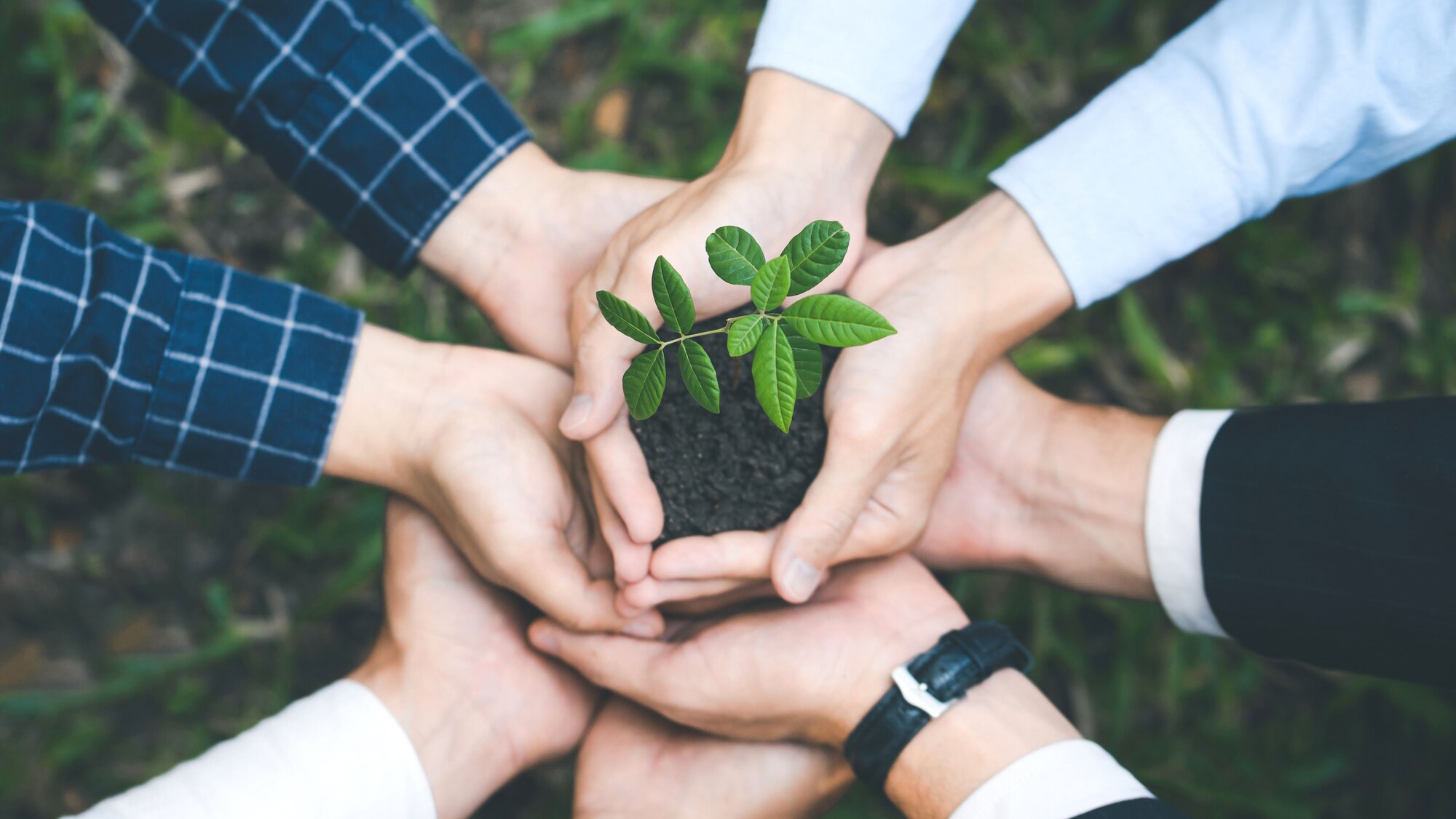 Green Taxes: Maximizing Tax Efficiency and Environmental Impact
