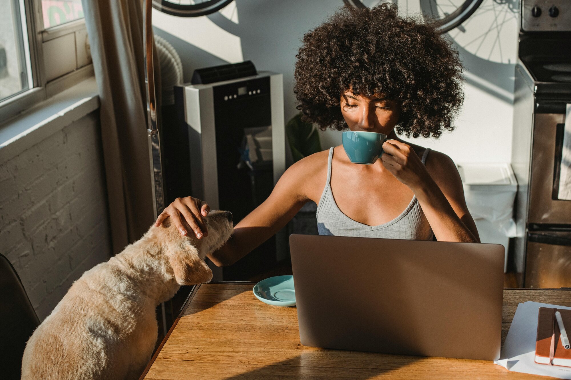 woman on her laptop with her dog
