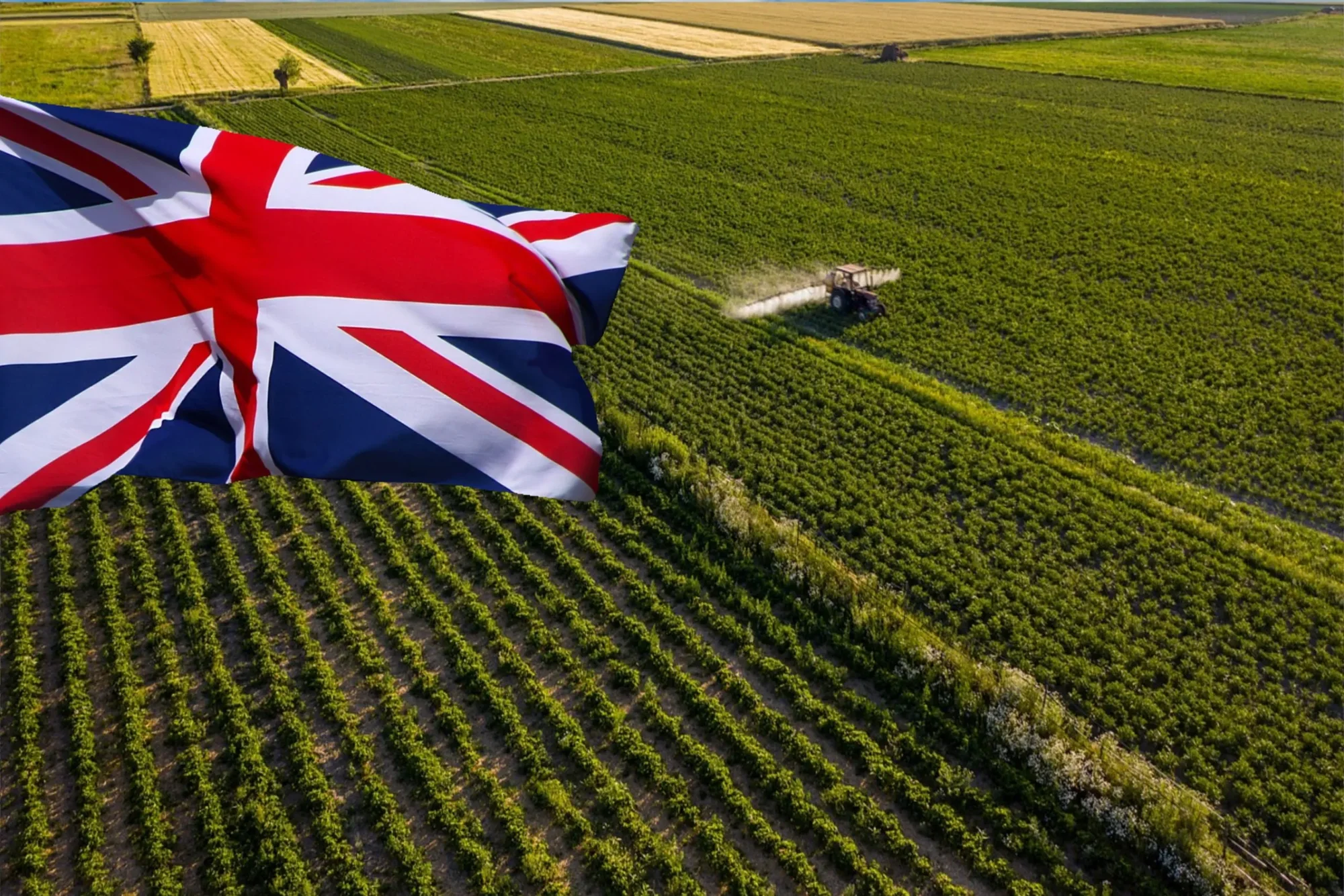 Farmers Warn Fertiliser Tax Could Push Up UK Food Prices